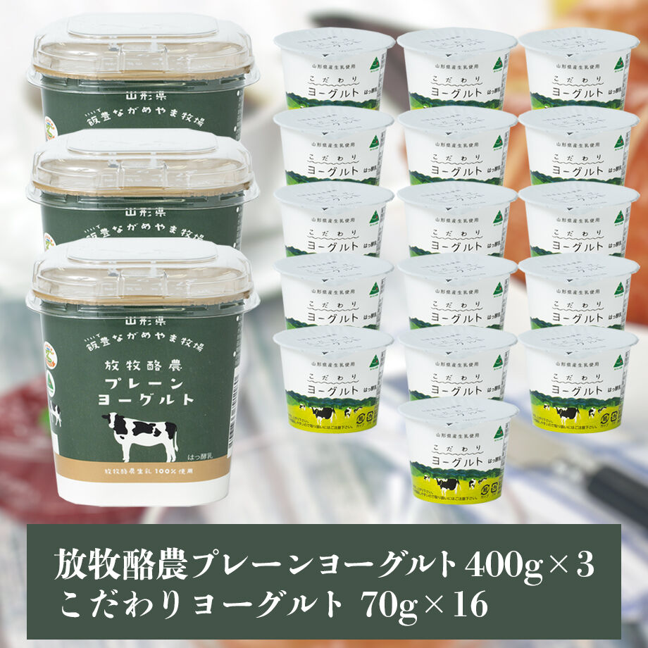 62034e66e859265f94a38f37