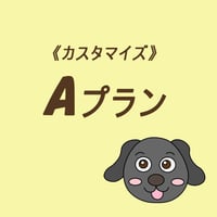 【カスタマイズ】《Aプラン》