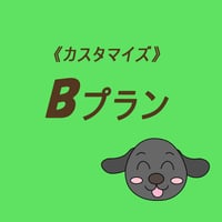 【カスタマイズ】《Bプラン》