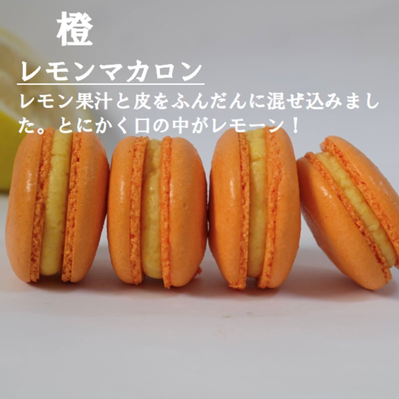 冷凍】☆テスター募集☆(12月便)レインボーマカロン(7個セット