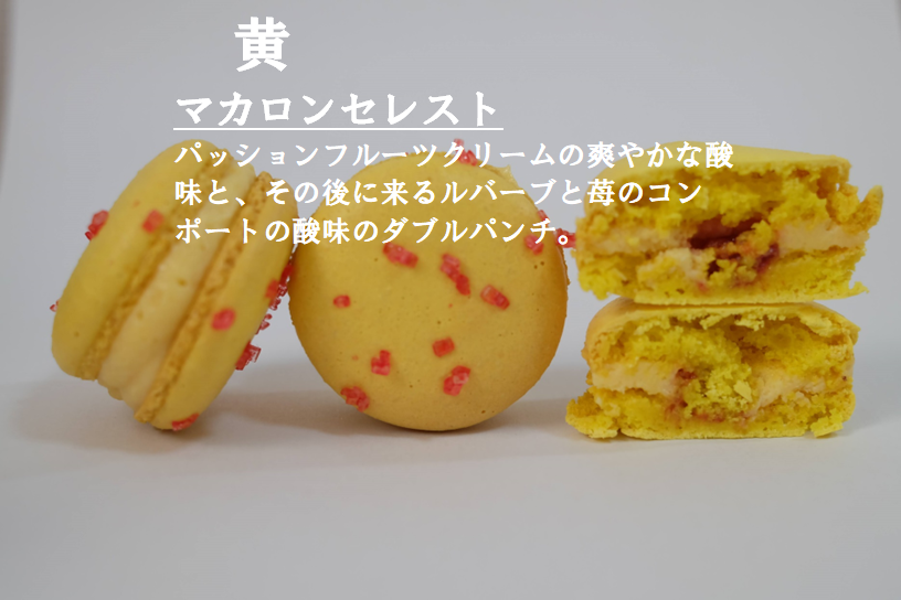 冷凍】☆テスター募集☆(12月便)レインボーマカロン(7個セット