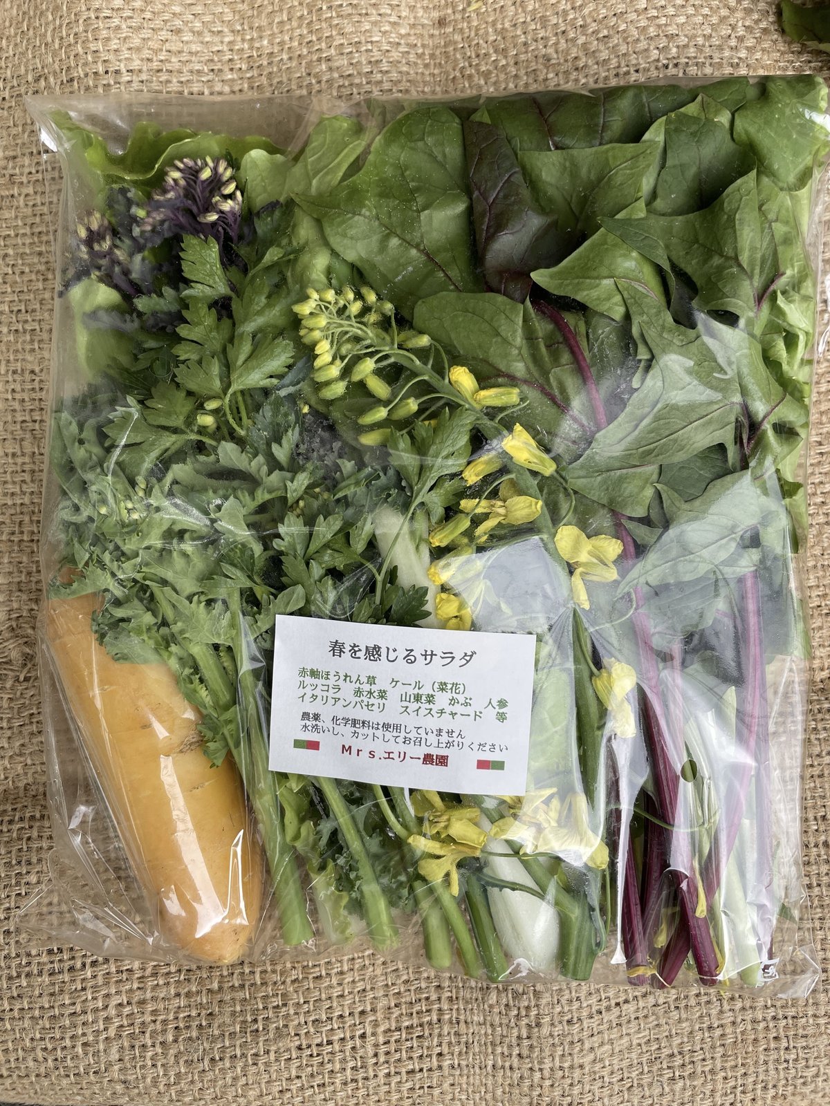 大人気！Mrs.エリー農園さんの季節のサラダセット 10セットパック | Mr