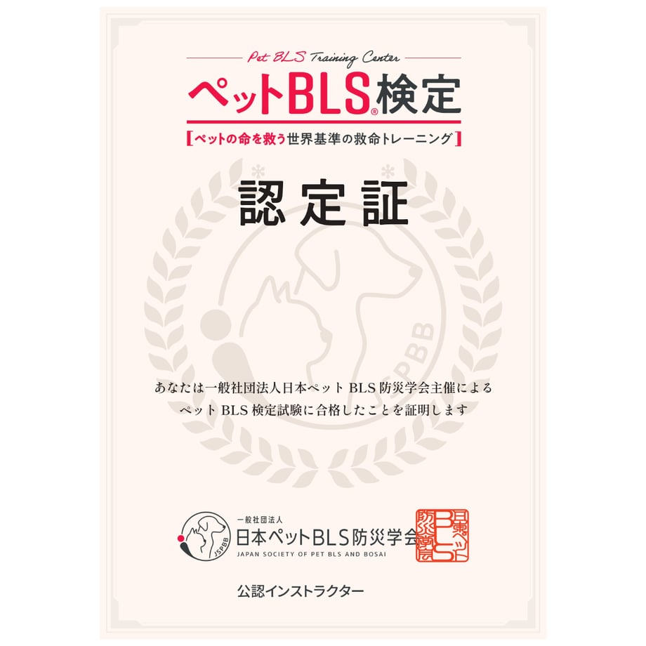 6a2a478b57ef7265ea3d691b