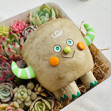 Valentine企画🤩チャビー鉢(モンスター)と多肉弁当