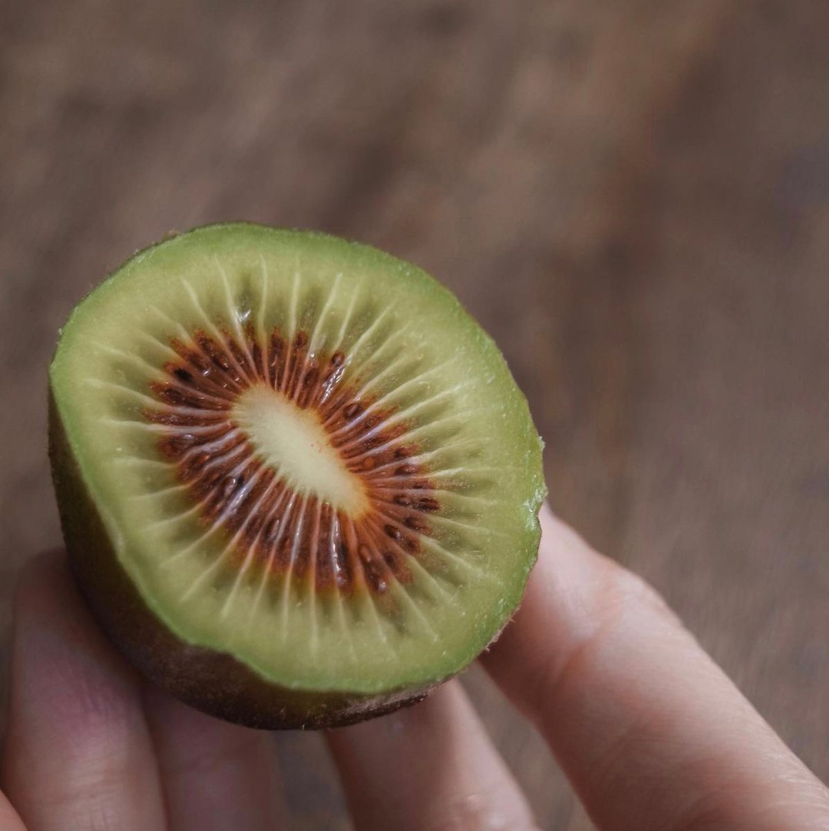 東村山産キウイフルーツ 紅妃2KG | oginofarmSTORE