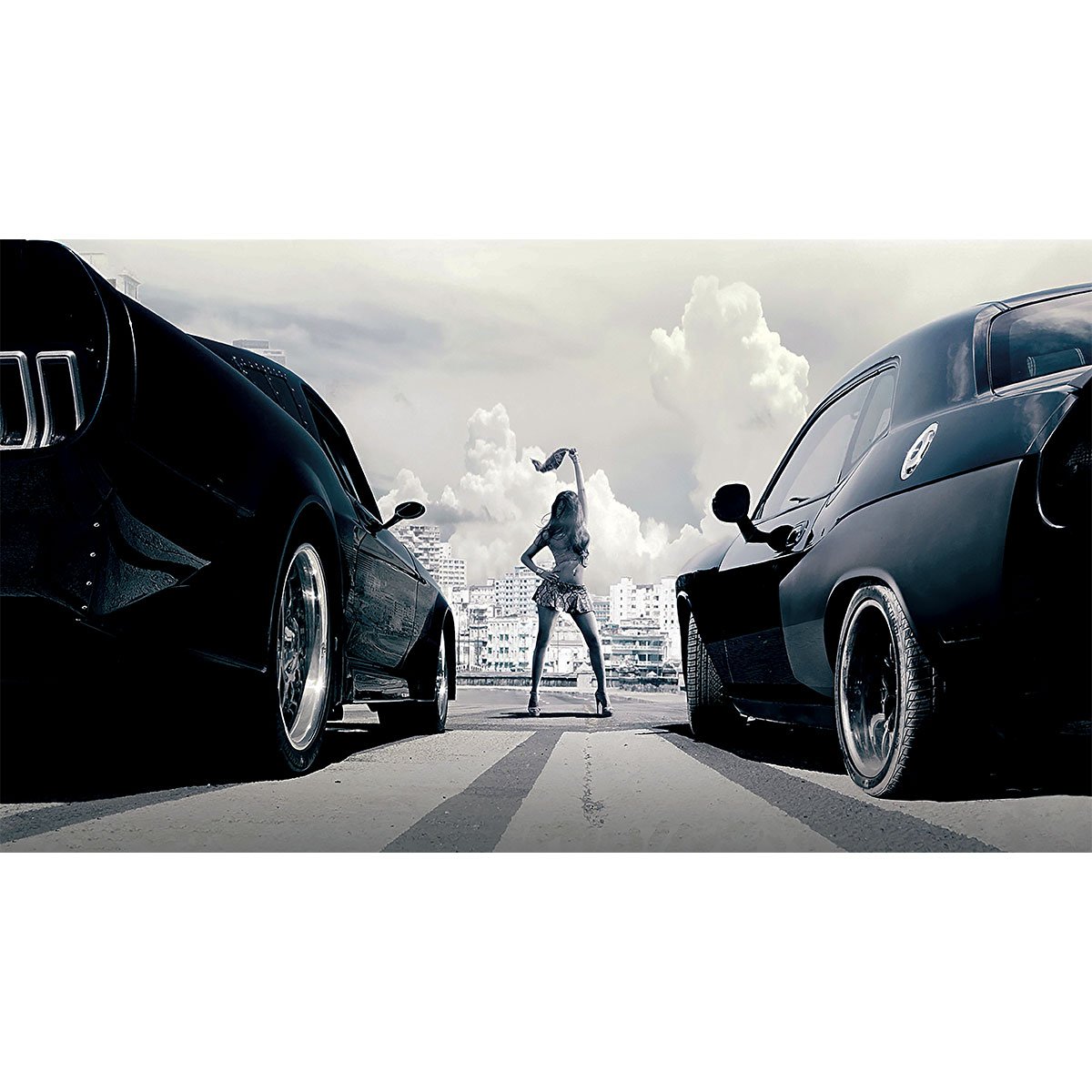 ワイルドスピード Fast Furious ワイスピ フォトプリント リブ付き