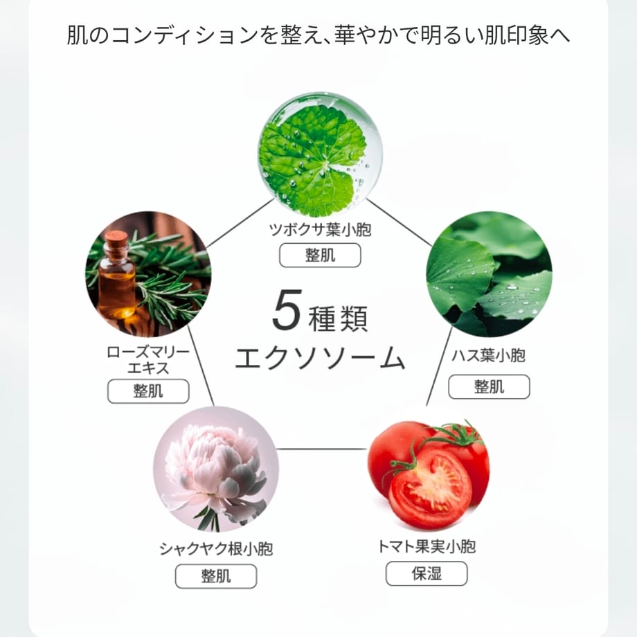 69cb2e41f90f2071767e5a04
