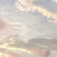 a様専用