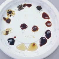 集中講座「今日から楽しくなる調味料」ちょっと聞きたいシリーズ