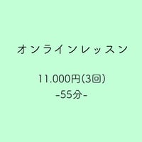 オンラインレッスン(月3回)