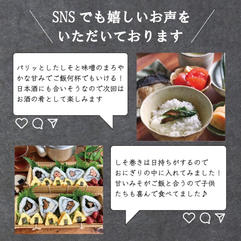 送料無料】満足する鉄板焼きしそ巻き フルセット (5種20個) | 東北