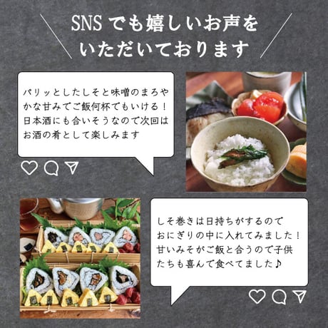 【送料無料】満足する鉄板焼きしそ巻き プレミアムセット(2種４個)