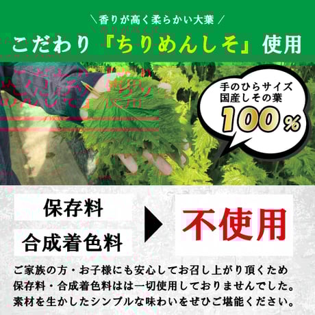 【送料無料】満足する鉄板焼きしそ巻き プレミアムセット(2種４個)