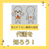 講座「代謝を知ろう」&蜂蜜ジャラHIG750g