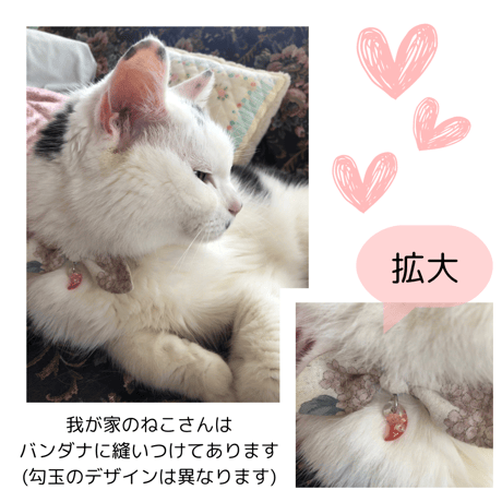 ペットさんのお守り☆勾玉オルゴナイト