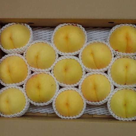 黄金桃　5kg(約10〜16玉)