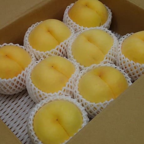 黄桃3㎏(5－10玉）
