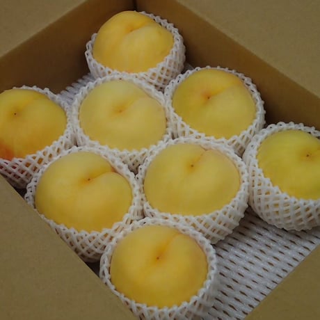 黄桃3㎏(5－10玉）