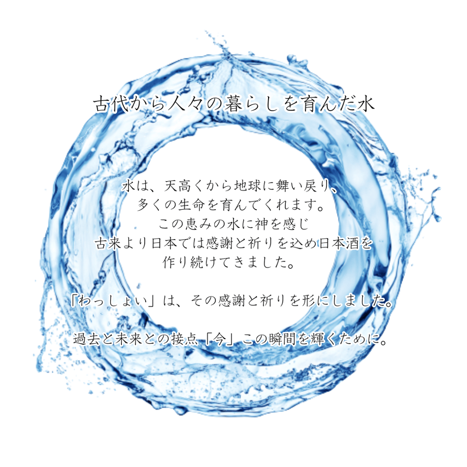 656ea2e6c2d1e400391706b5