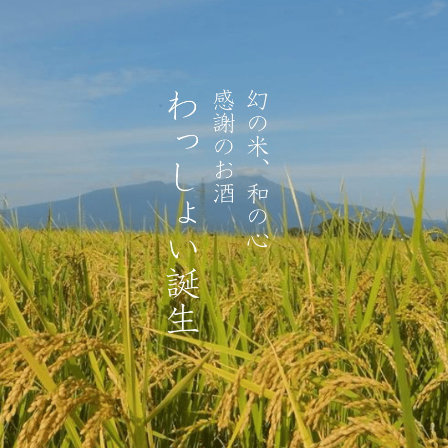 656ea2e6c2d1e400391706b5