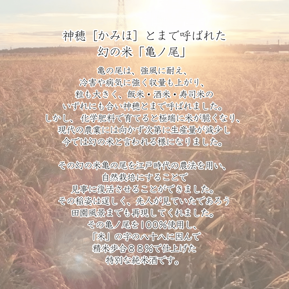 64754ec79ecd34002c74f7c1
