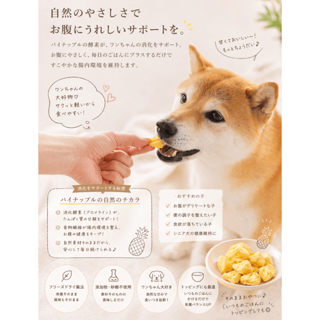 パイナップル フリーズドライ 9g or 20g