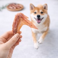 国産キジ手羽先ジャーキー6本入