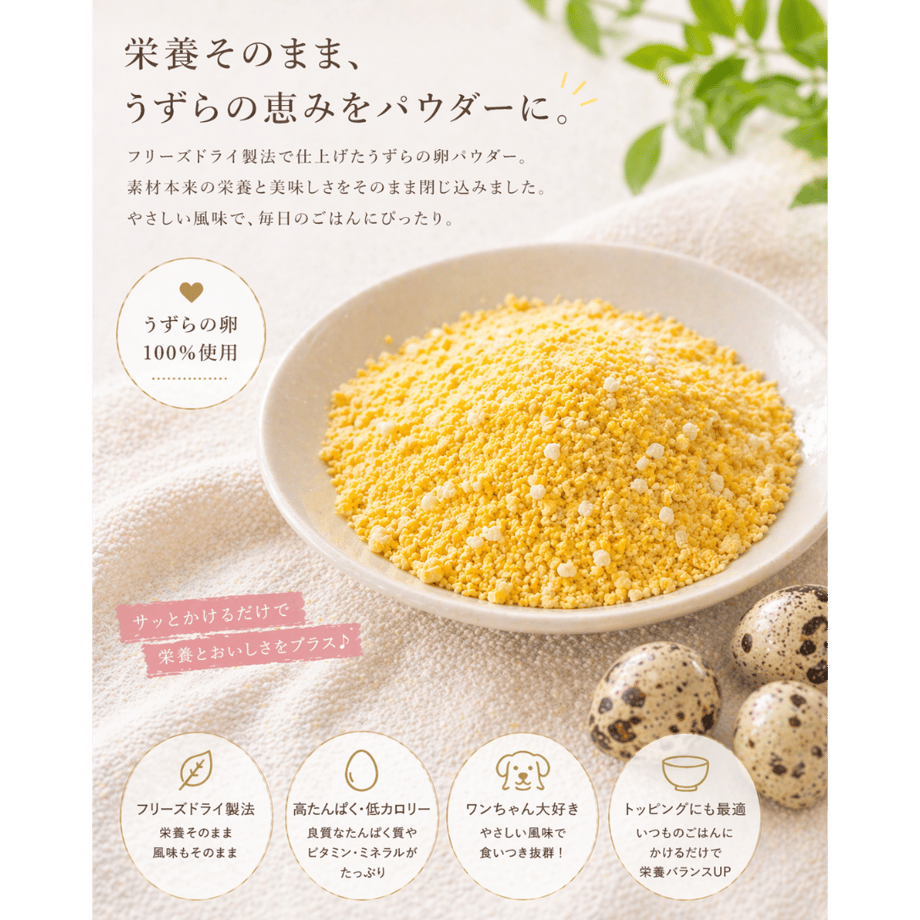 69eb06a3979394219a6d8c65