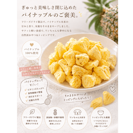 パイナップル フリーズドライ 9g or 20g