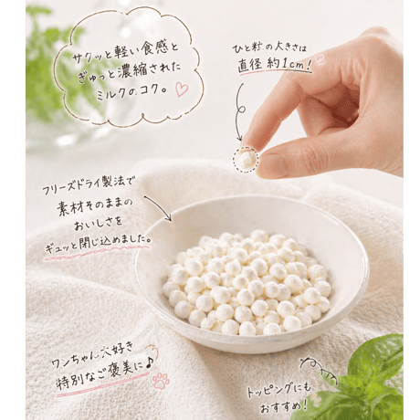 モッツァレラチーズ フリーズドライ　20g