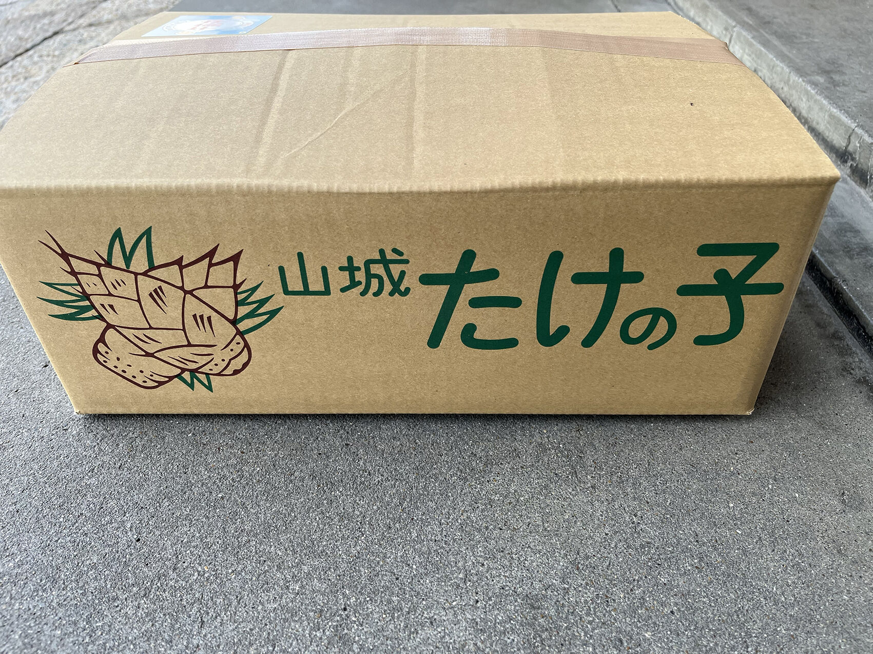 京都府山城産 朝掘りたけのこ／4kg | 西井米穀店 やましろもん