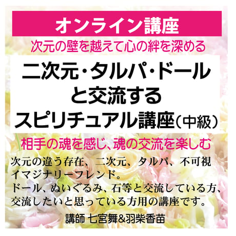 ドール | STORES