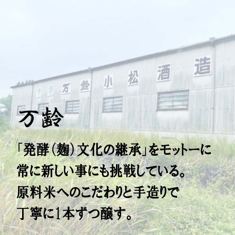 万齢 おとなの甘酒 タイプⅠ（カートン無し） 500ml | 酒舗 彩-SAI