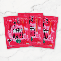 カリカリ梅の素（梅500g用）× 3袋