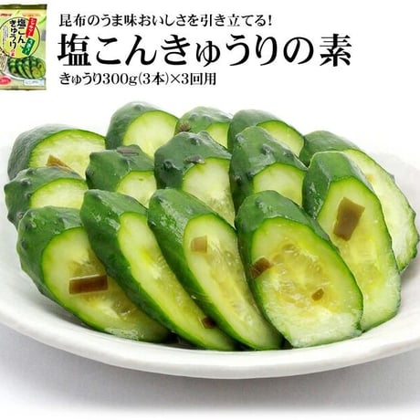 【５袋セット】塩こんきゅうりの素 39g×5個