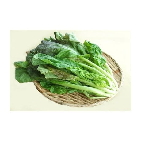 ベジレント たかな漬の素　単品