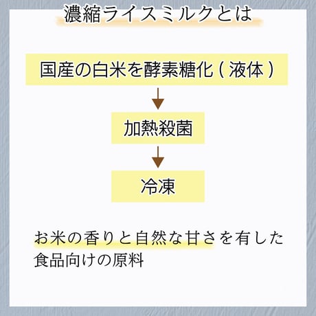 濃縮 ライスミルク T 20kg