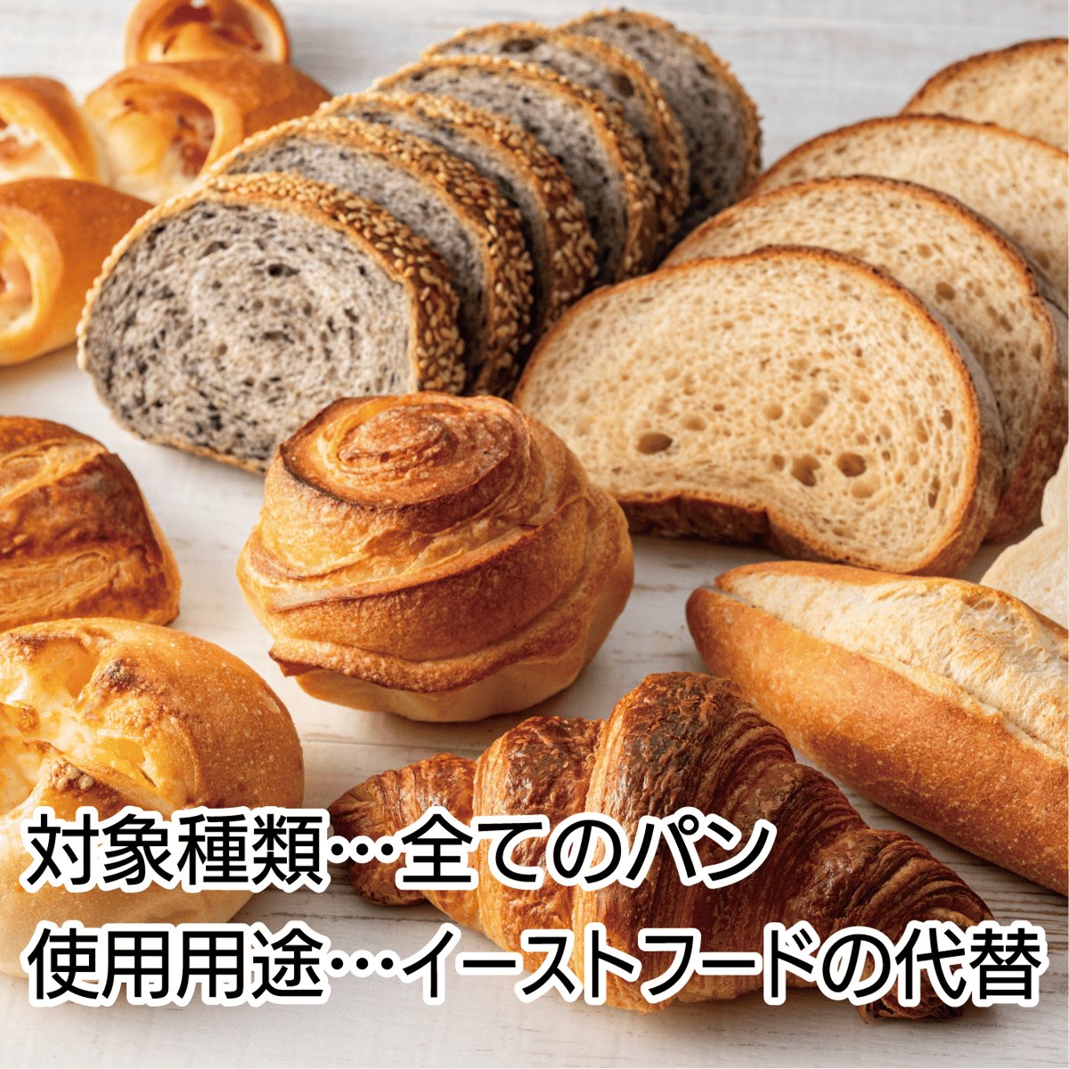 梅　発酵器　麹　パン 梅様専用 発酵器 麹 パン