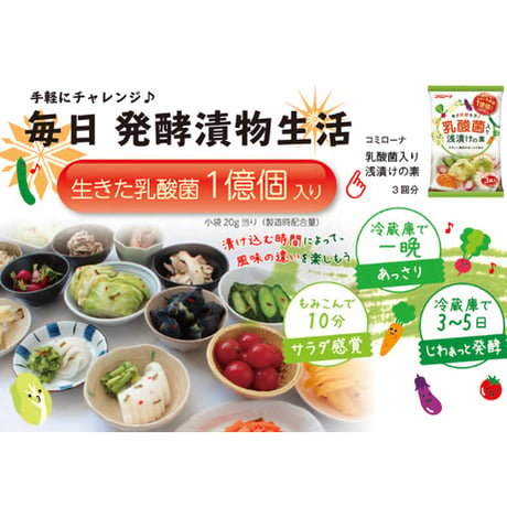 乳酸菌入り 浅漬けの素 60g（20g×3）単品