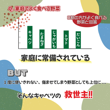 【単品】 旨しおキャベツの素 33g