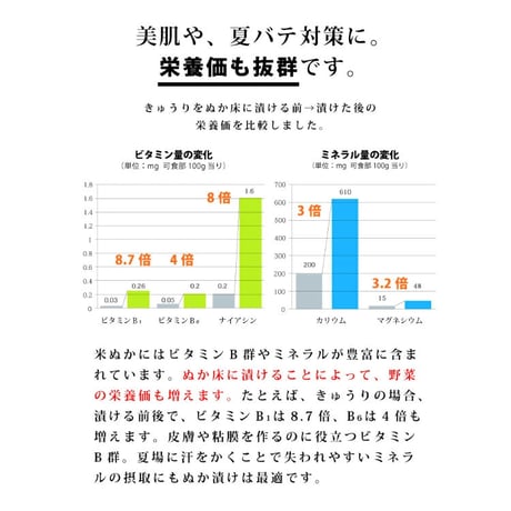 冷蔵庫で育てる 熟成 ぬか床 1400g リーズナブルセット（容器付き）