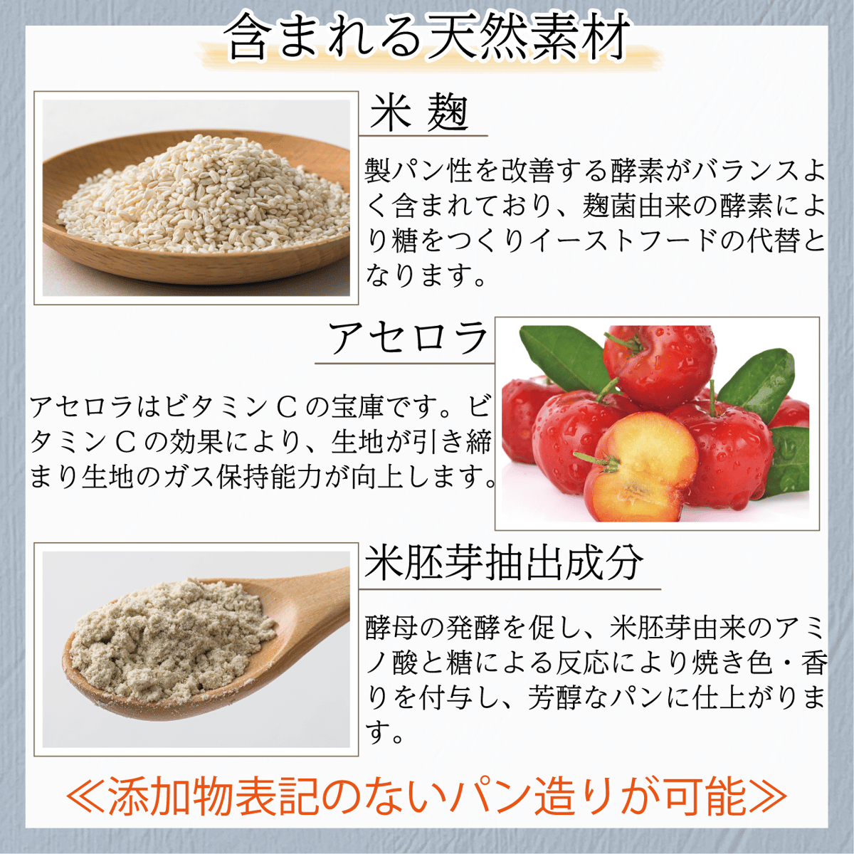 梅　発酵器　麹　パン 業務用洗えてたためる発酵器 PF203 | 日本ニーダー株式会社