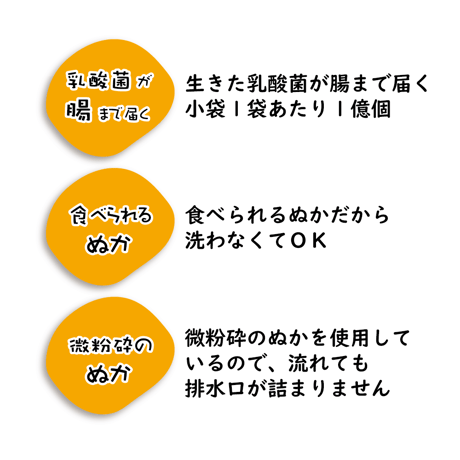 乳酸菌入り ぬか漬けの素　42g×5個