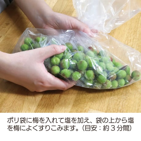 カリカリ梅の素（梅500g用）× 3袋