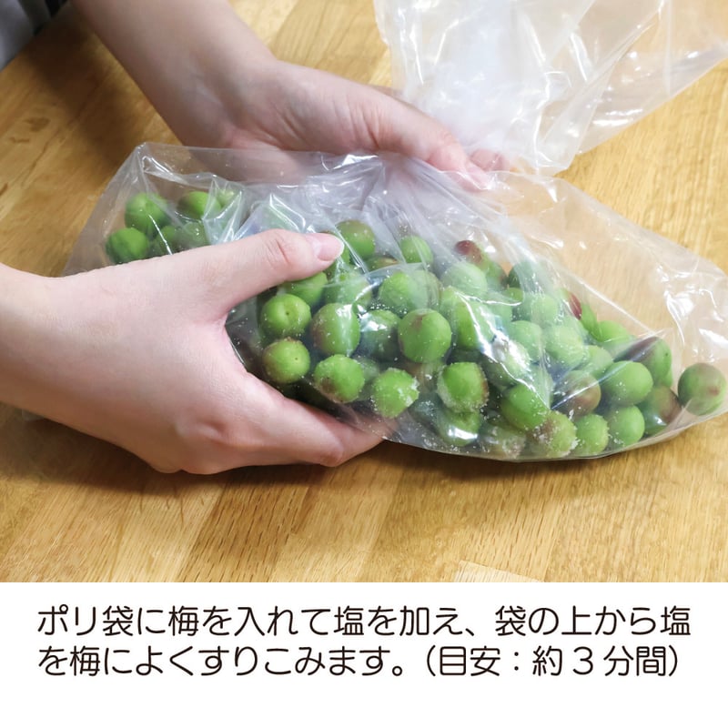 カリカリ梅の素（梅500g用）× 3袋 | こうじや里村 オンラインショップ