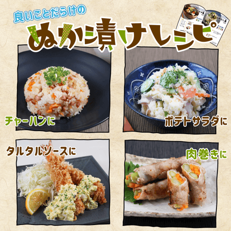 手作り ぬかどこ キット