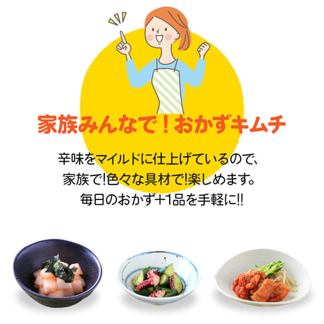 おうちｄｅかんたん キムチ 用 チューブ150g（4本セット　レシピ付き ）