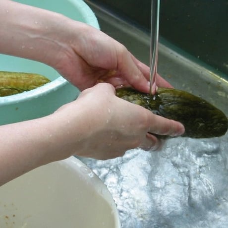 コミローナ 酒粕 2kg