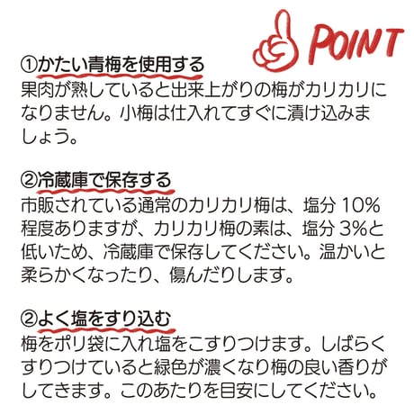 カリカリ梅の素（梅500g用）× 3袋
