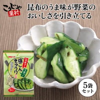 【５袋セット】塩こんきゅうりの素 39g×5個